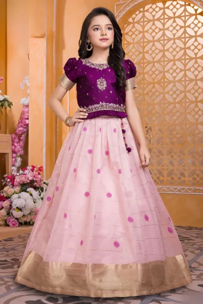 Wine with Light Pink Zardozi, Stone, Beads and Banaras Zari work Lehenga Choli